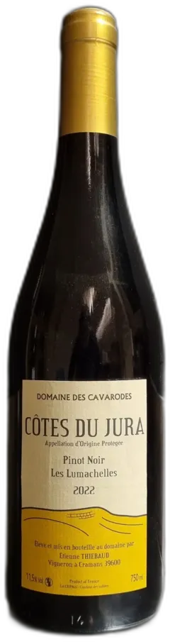 vue du vin Pinot Noir les Lumachelles 2022 Aop Côtes du Jura, Etienne Thiebaud, Domaine des Cavarodes