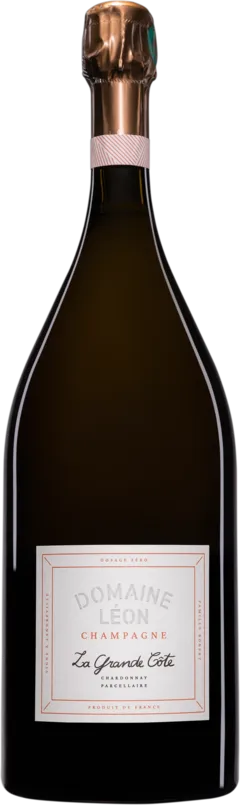 image du vin Domaine Léon Champagne Brut Nature Blanc de Blancs "la Grande Côte" Blanc Vendange 2021 Dégorgement 12 2023