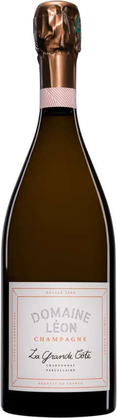 image du vin Domaine Léon Champagne Brut Nature Blanc de Blancs "la Grande Côte" Blanc Vendange 2021 Dégorgement 12 2023