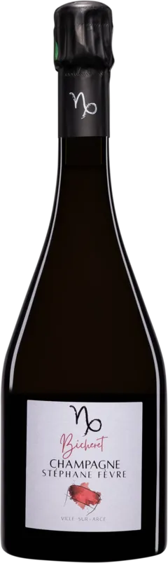 vue du vin Domaine Stéphane Fèvre Champagne Extra-Brut Blanc de Noirs "Bicheret" Blanc Vendange 2021 Dégorgement 11 Jan. 2024