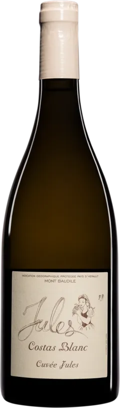 photo du vin Domaine Supply-Royer Vin de Pays d’Hérault Mont Baudile "Costas Cuvée Jules" Blanc