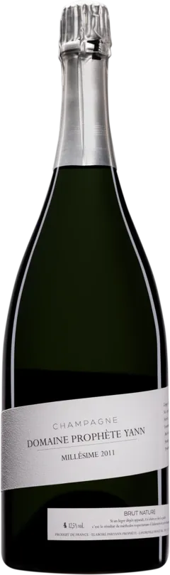 aperçu du vin Domaine Yann Prophète Champagne Brut Nature Blanc de Blancs Millésimé Blanc 2011