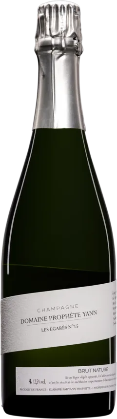 capture du vin Domaine Yann Prophète Champagne Brut Nature Blanc de Noirs Millésimé "les Égarés" Blanc 2015