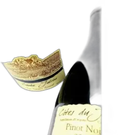 image du vin Julien en Billat l’Enfant Terrible du Sud