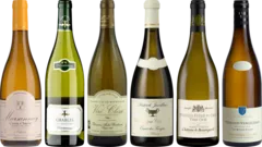 vue du vin Jaffelin Chablis 2024