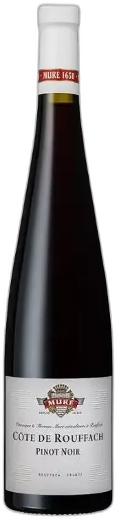 vue du vin Pinot Noir, Domaine Stirn