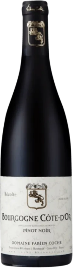 image du vin Domaine Fabien Coche Bourgogne Côte d’or 2020