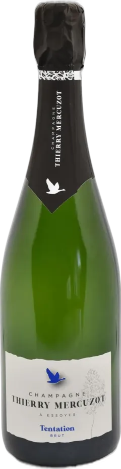 illustration du vin Champagne Tentation Brut