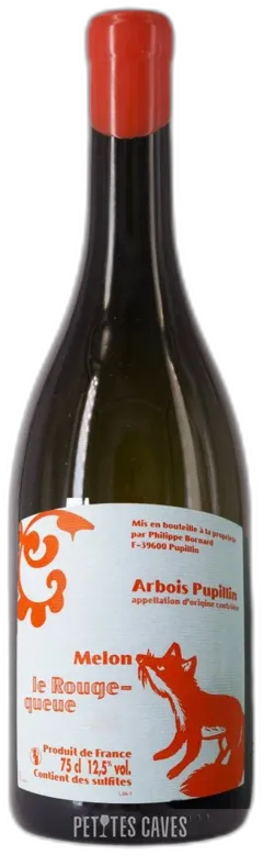 capture du vin Melon le Rouge-Queue Domaine Bornard