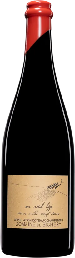 photo du vin Domaine de Bichery Coteaux Champenois "en Val Ligé" Rouge 2023