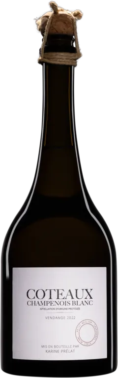 aperçu du vin Domaine Karine Prélat Coteaux Champenois "3 Cépages" Blanc 2022