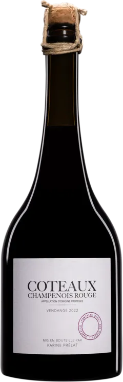 photo du vin Domaine Karine Prélat Coteaux Champenois "Fontaine Dieu" Rouge 2022