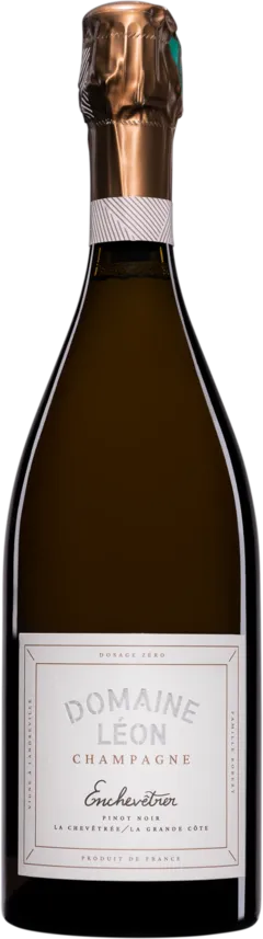 image du vin Domaine Léon Champagne Brut Nature Blanc de Blancs "la Grande Côte" Blanc Vendange 2021 Dégorgement 12 2023