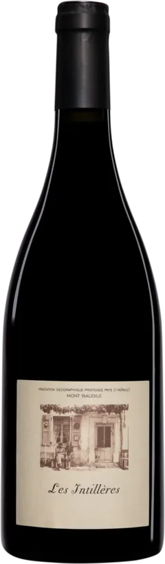 photo du vin Domaine Supply-Royer Vin de Pays d’Hérault Mont Baudile "les Intillères" Rouge