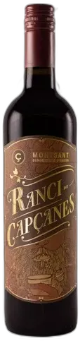 vue du vin Capçanes Peraj Petita 2021