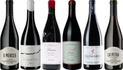 photo du vin en el Camino 2021