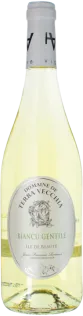 photos du vin Biancu Gentile 2025 Domaine Terra Vecchia