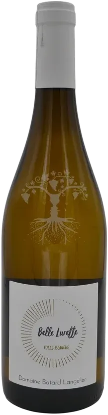 vue du vin Belle Lurette