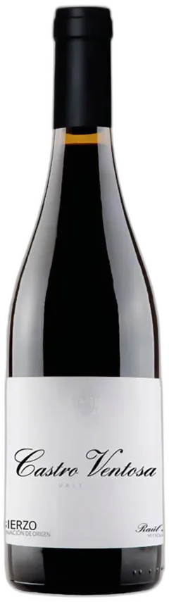 aperçu du vin Bierzo do Castro Ventosa Valtuille Castro Ventosa 2023