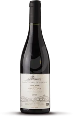 vue du vin Fleurie Lieu-Dit Chapelle des Bois
