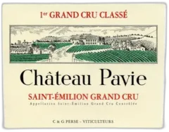 photo du vin Chateau Paviesaint-Emilion Grand Cru 1999