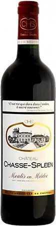 vue du vin Château Chasse-Spleen