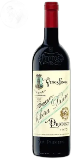 vue du vin Protos Roble
