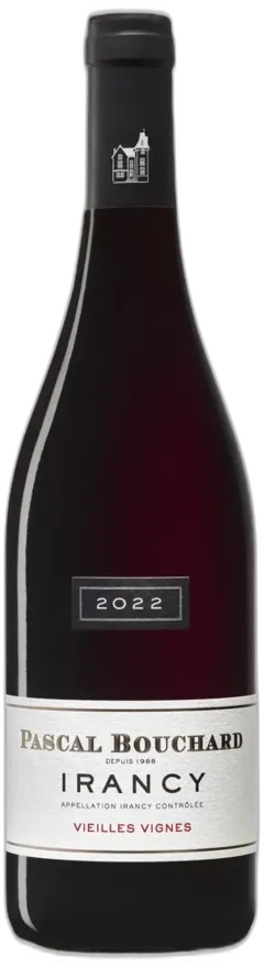 vue du vin Pascal Bouchard Irancy les Vieilles Vignes Aop Irancy