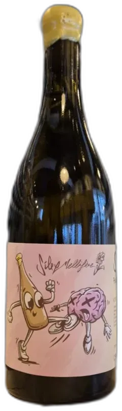vue du vin Coteau Champenois sm 2022 Domaine du Clos Rougeot