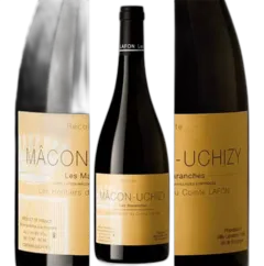 vue du vin Mâcon Uchisy les Maranches 2022 les Héritiers du Comte Lafon