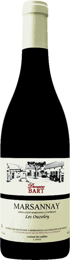 vue du vin Aoc Marsannay Ouzeloy Domaine Bart