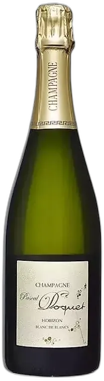 image du vin Magnum Pascal Doquet Horizon Blanc de Blancs