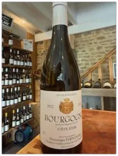 vue du vin Bourgogne Côte d’or Domaine Fernandez