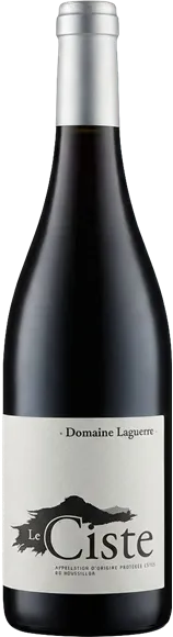 illustration du vin Saint-Nicolas-de-Bourgueil Rouge 2024 Guy Saget