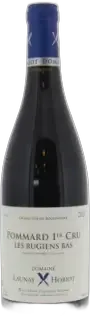 photo du vin Pommard les Rugiens Bas 1er Cru 2021 Domaine Launay Horiot
