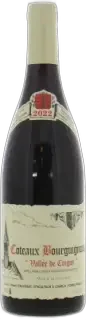 image du vin Rene et Vincent Dauvissat-Camus Valle de Coigny Coteaux Bourguignons 2021