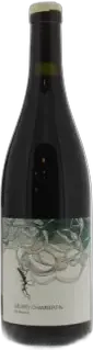 vue du vin Gevrey Chambertin en Reniard 2020 les Horées