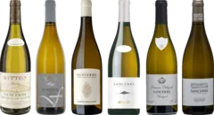 photo du vin Sancerre la Côte d’Amigny Delaporte