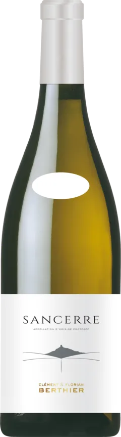 vue du vin Clement & Florian Berthier Sancerre les Chasseignes 2022