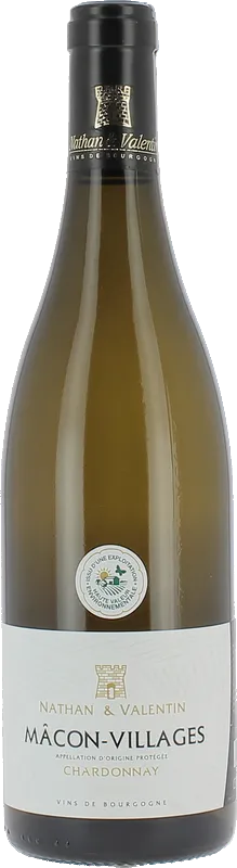 capture du vin Mâcon Villages Tradition Fichet Blanc 2022