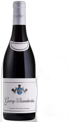photo du vin Gevrey Chambertin 2021 Esprit Leflaive