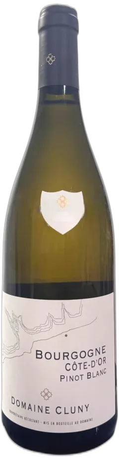 capture du vin Aoc Bourgogne Côte d’or Pinot Domaine Cluny