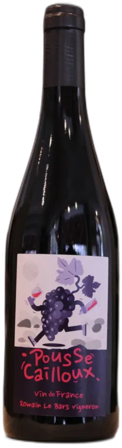 vue du vin Vin de France Pousse Cailloux 2024 Romain le Bars