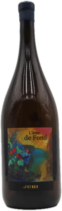 image du vin Magnum Anjou "l'Ame de Fond" 2018 Fief Noir
