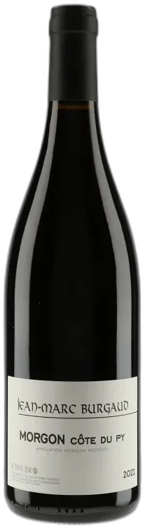 vue du vin Morgon Côte du py 2021