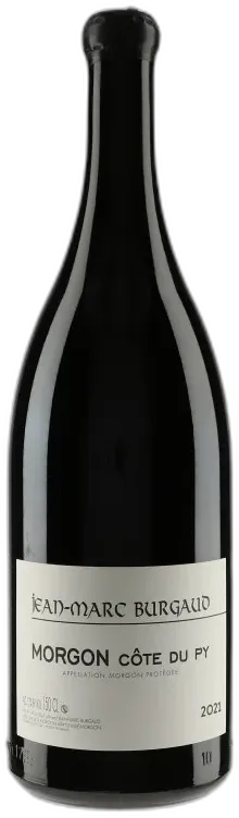 vue du vin Morgon Côte du py 2021