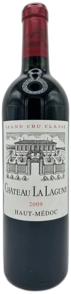 vue du vin Château la Lagune Bordeaux France