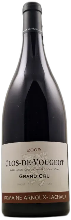 vue du vin Arnoux Lachaux Clos de Vougeot 2009 Magnum