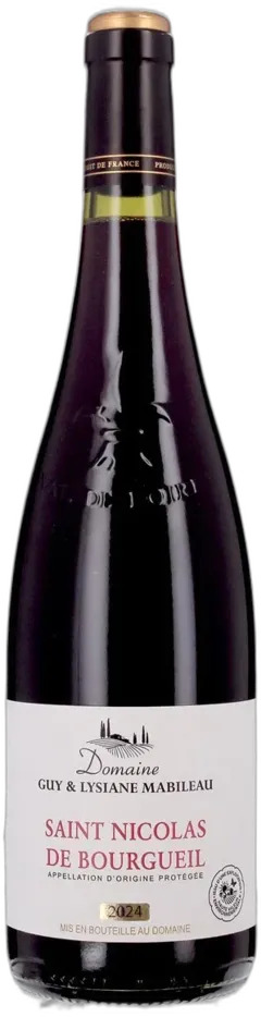 vue du vin Domaine Guy et Lysiane Mabileau Saint-Nicolas-de-Bourgueil Aop Saint-Nicolas-de-Bourgueil