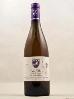 photo Mark Angéli Anjou 